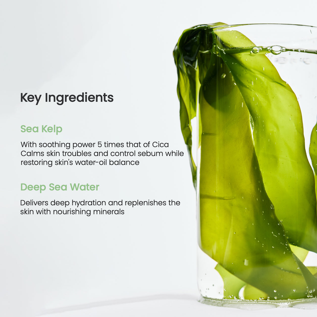 Biodance Refreshing Sea Kelp Real Deep Mask - 4 each
