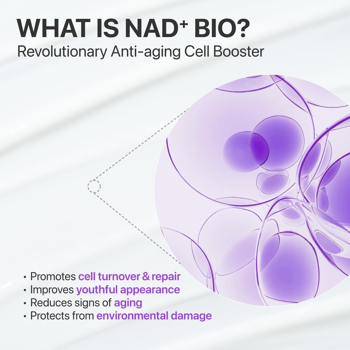 Numbuzin No.9 NAD Bio Lifting Essence - 50ml